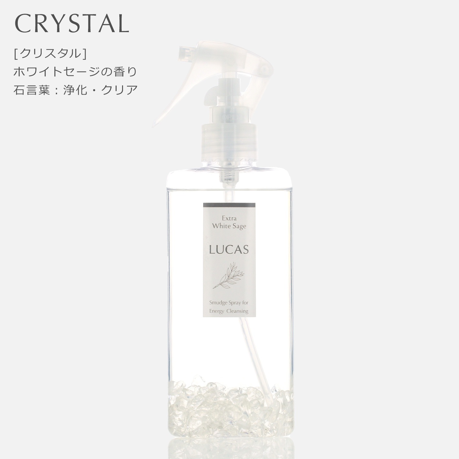 ۥ磻ȥ ץ졼 󥿥  130ml ڤޤ餪