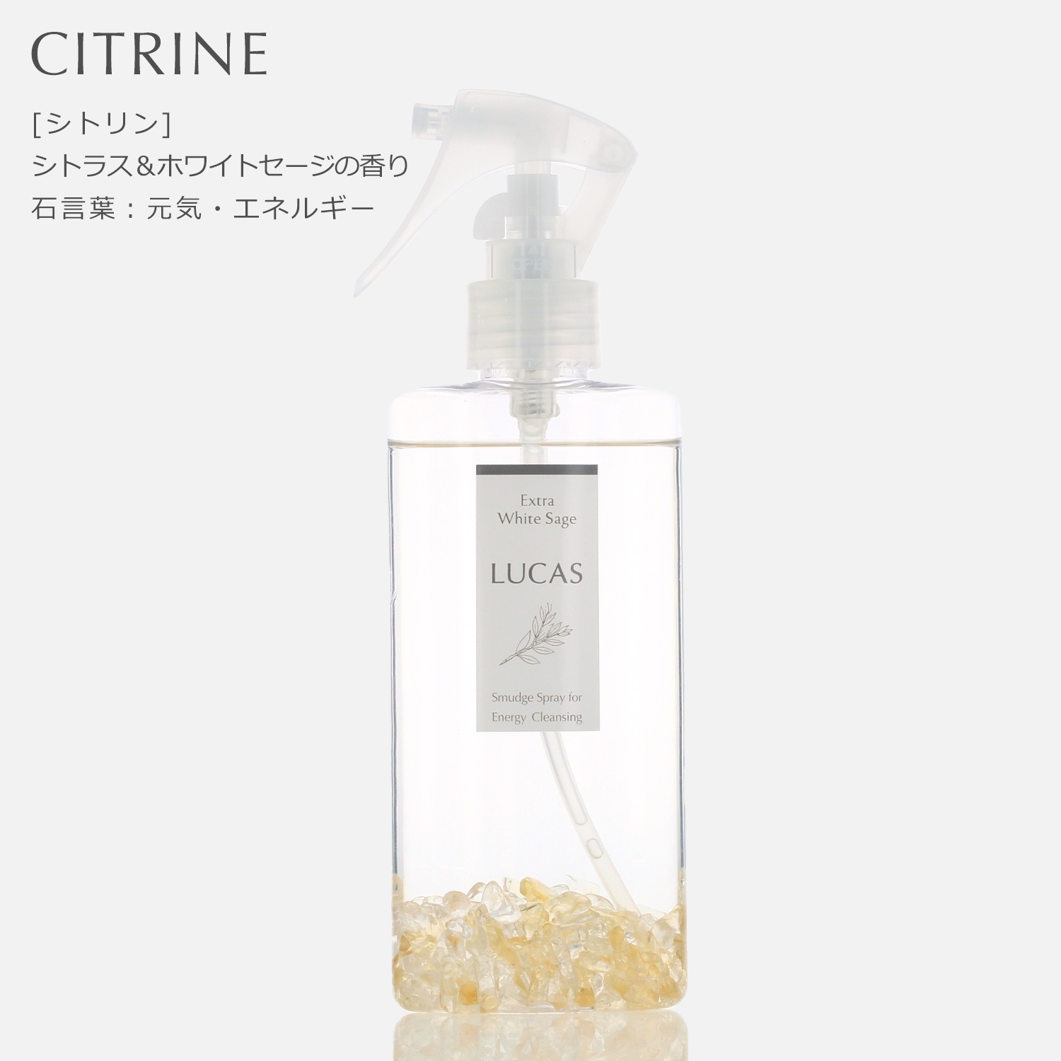 ۥ磻ȥ ץ졼 󥿥  130ml ڤޤ餪