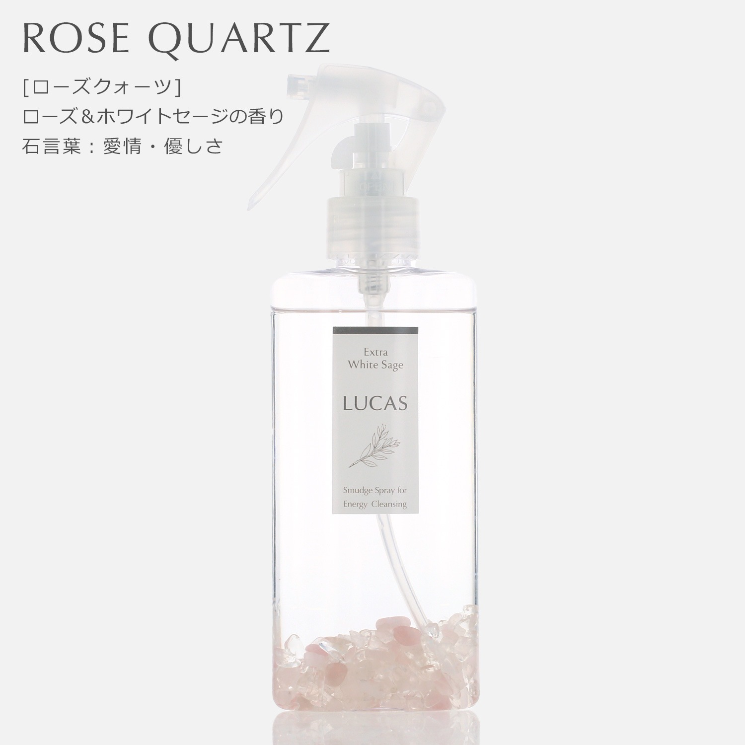 ۥ磻ȥ ץ졼 󥿥  130ml ڤޤ餪