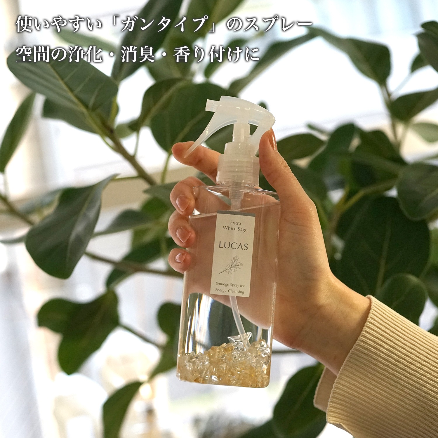 ۥ磻ȥ ץ졼 󥿥  130ml ڤޤ餪