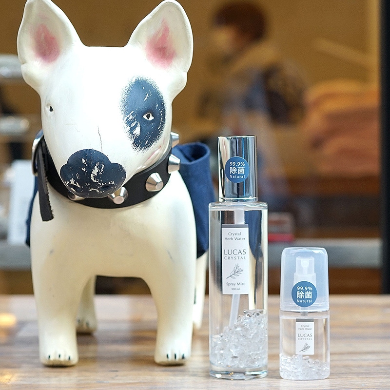 ݥץ졼 LUCAS  եåϡ֤ιŷͳʬ100% & 99.9%ݡˡ