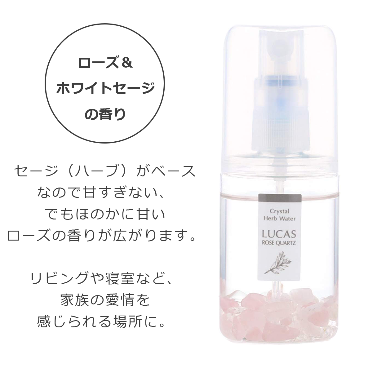 �������ץ졼 �ݥ��åȥ륫�� �ڥ������������ġۡ�ŷ��ͳ����ʬ100%��