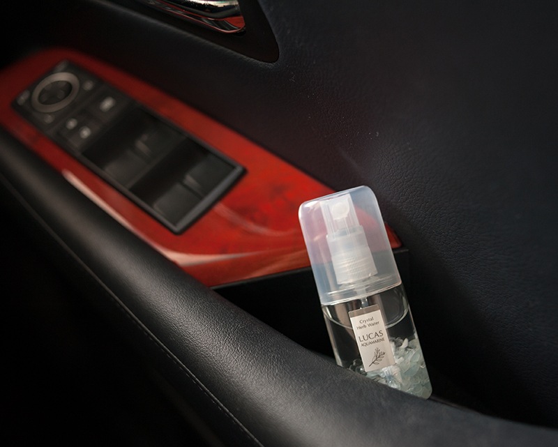 ץ졼 ݥåȥ륫 ڥޥۡŷͳʬ100%