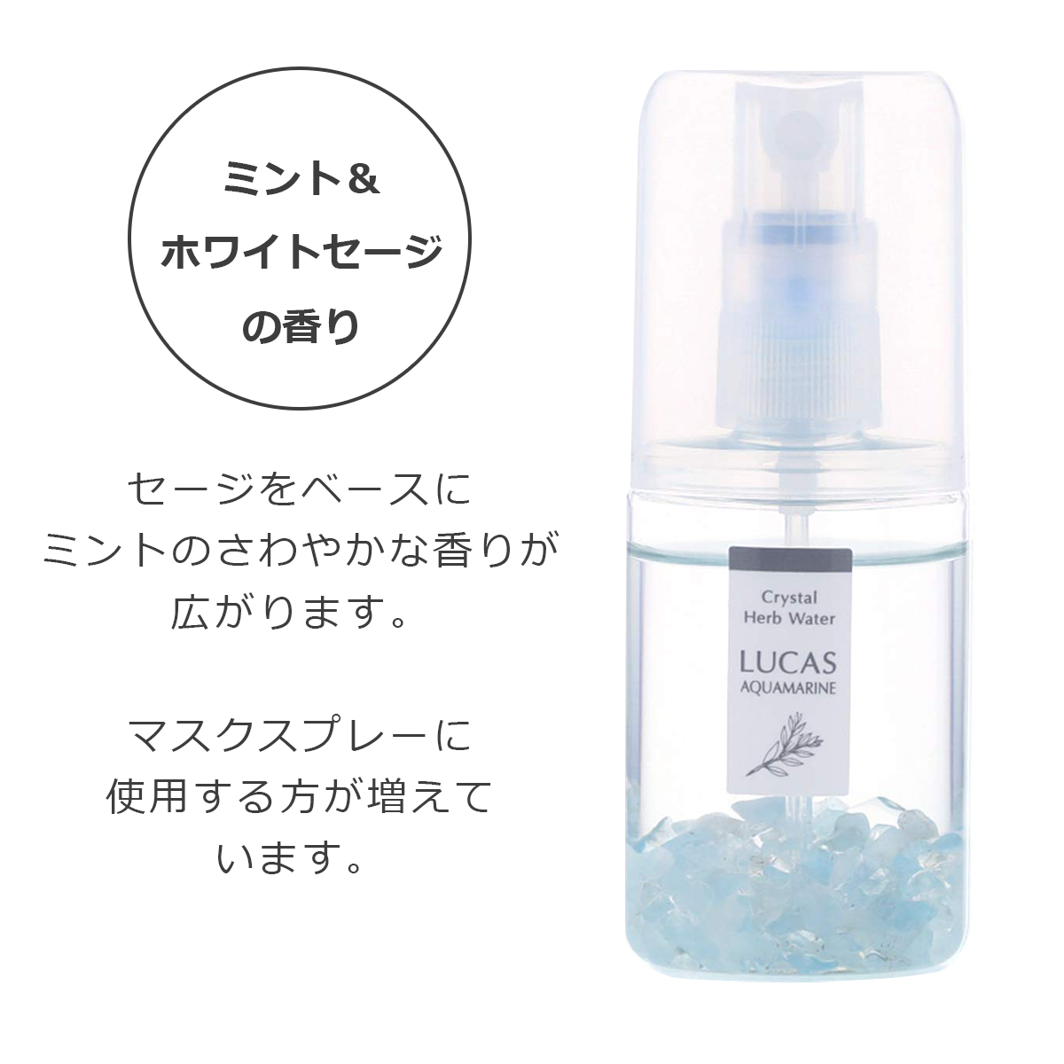 ץ졼 ݥåȥ륫 ڥޥۡŷͳʬ100%