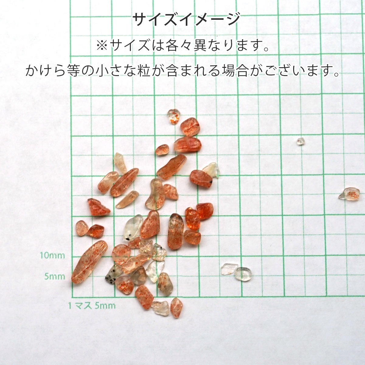 󥹥ȡ åסS 100g ھͥ륮㡼ˡ