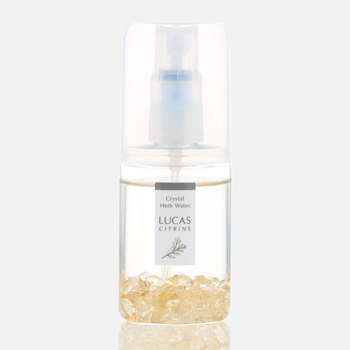 �������ץ졼 �ݥ��åȥ륫�� �ڥ��ȥ��ۡ�ŷ��ͳ����ʬ100%��