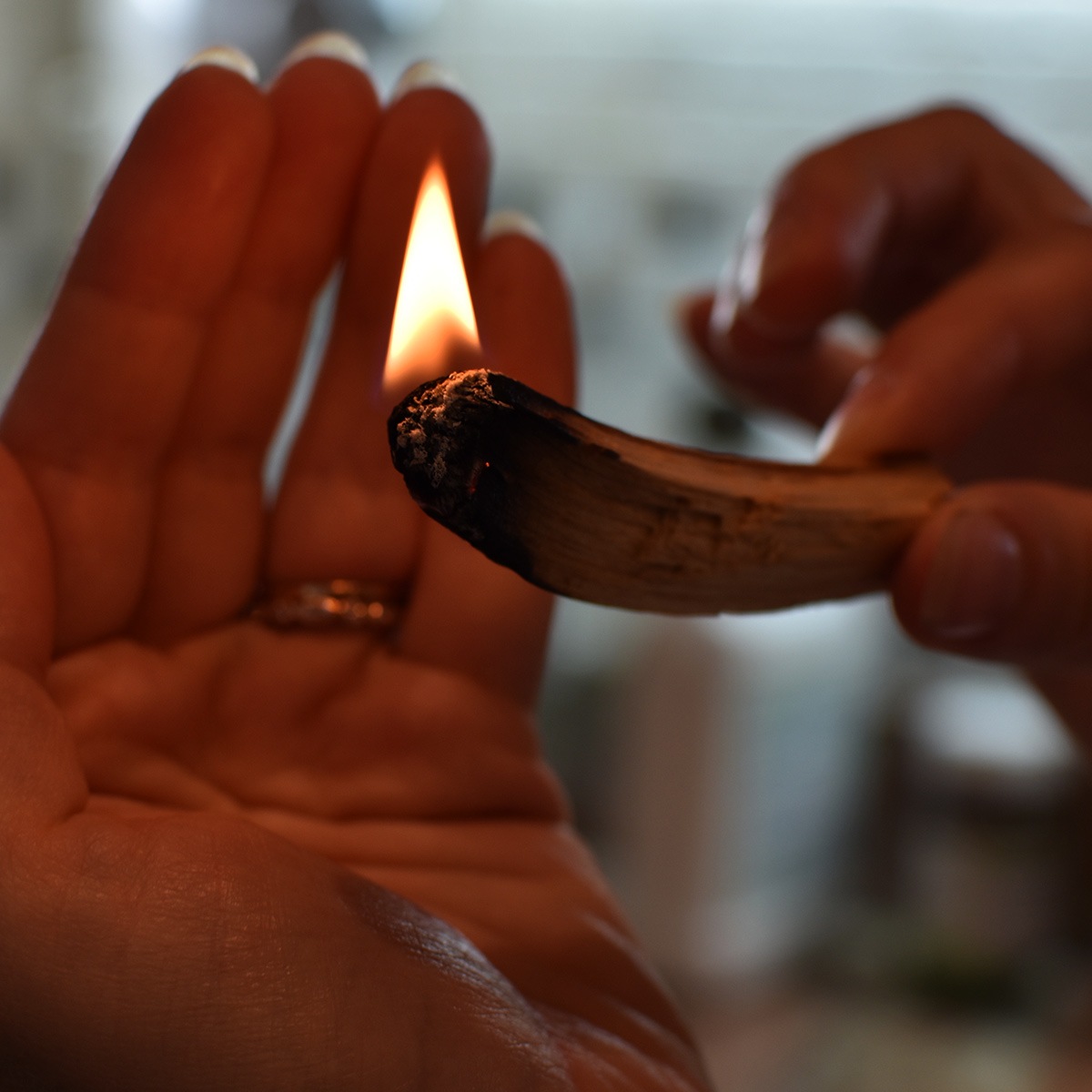 ѥȡƥå ʤ ڥ롼 Palo santo 8&ٵ㱤LUCAS