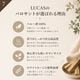 �ѥ�����ȡ����ƥ��å� �����ʤ��� �ڥ롼�� Palo santo 8����������&�ٵ�㱤���LUCAS