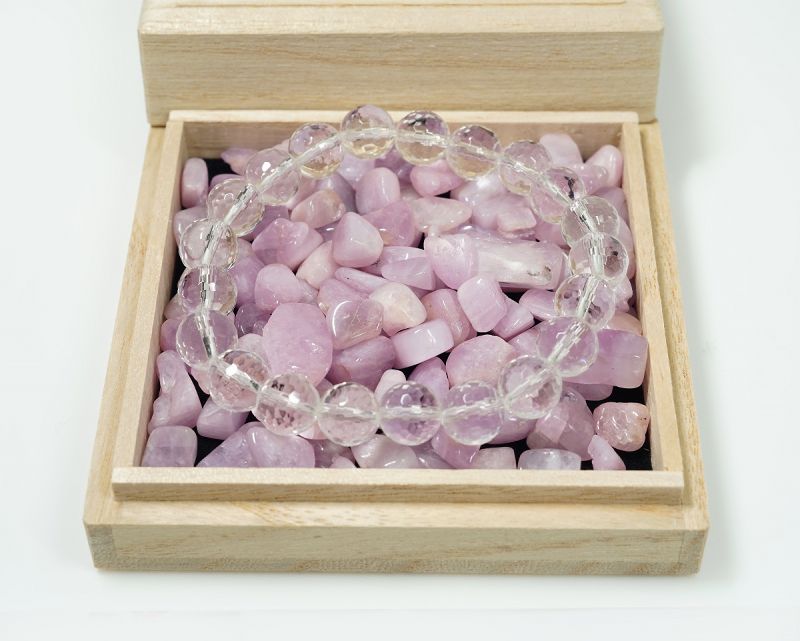 ����ĥ����� ��������å� Type.1 100g �ھ��������ͥ륮�����㡼���ˡ�