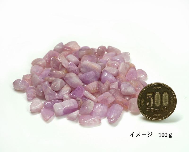 ����ĥ����� ��������å� Type.1 100g �ھ��������ͥ륮�����㡼���ˡ�