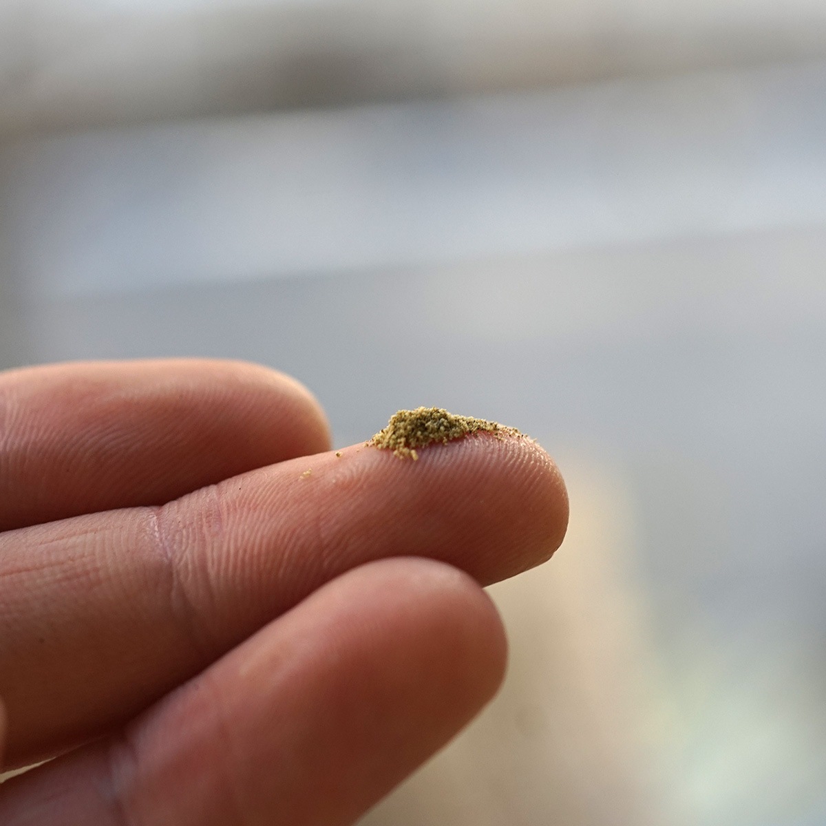 ۥ磻ȥ100%  ʴᡦɹ 20gڸƣϥ륫