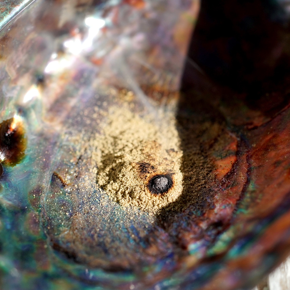 ۥ磻ȥ100%  ʴᡦɹ 20gڸƣϥ륫