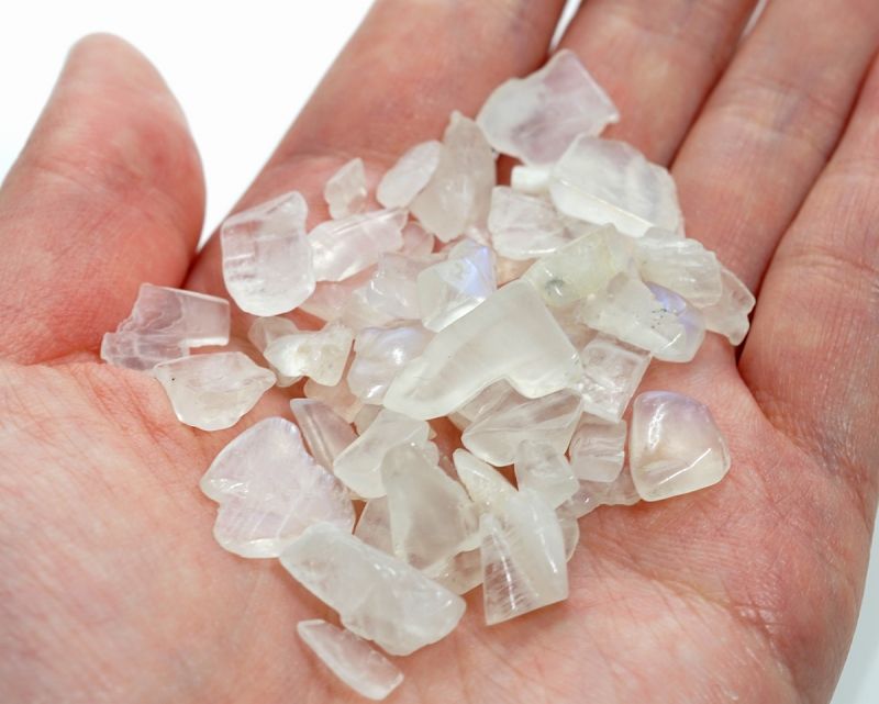 �֥롼�ࡼ�󥹥ȡ��� ��������å� 100g �ھ��������ͥ륮�����㡼���ˡ�