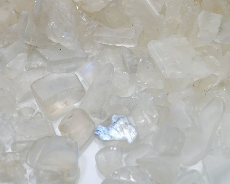 �֥롼�ࡼ�󥹥ȡ��� ��������å� 100g �ھ��������ͥ륮�����㡼���ˡ�