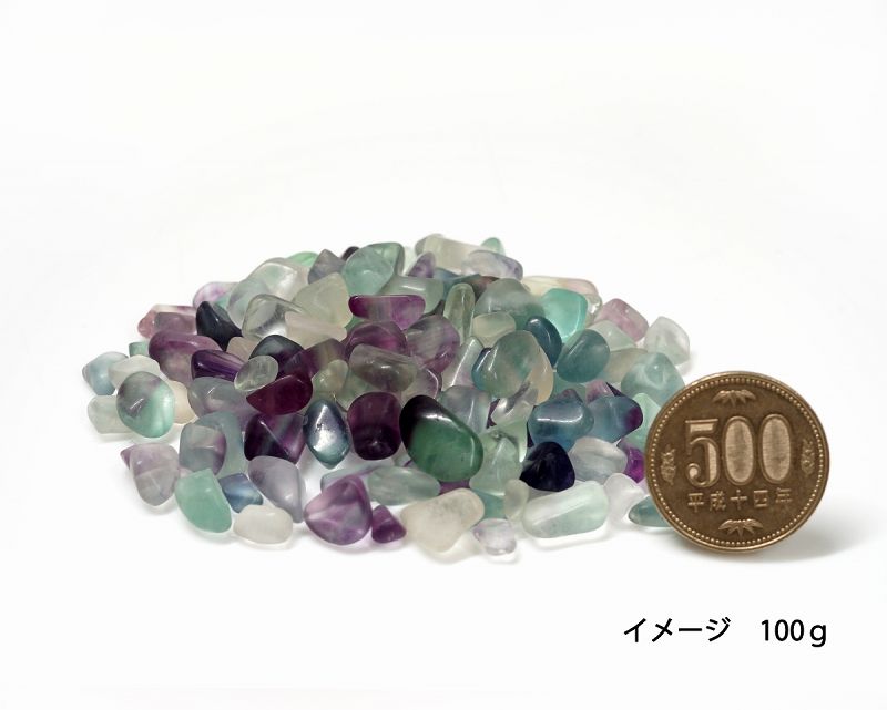 �ե����饤�� ��������å� Type.2 100g �ھ��������ͥ륮�����㡼���ˡ�