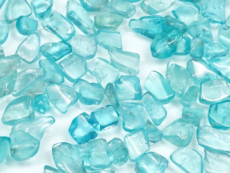 ���ѥ����� ��������å� 100g �ھ��������ͥ륮�����㡼���ˡ�