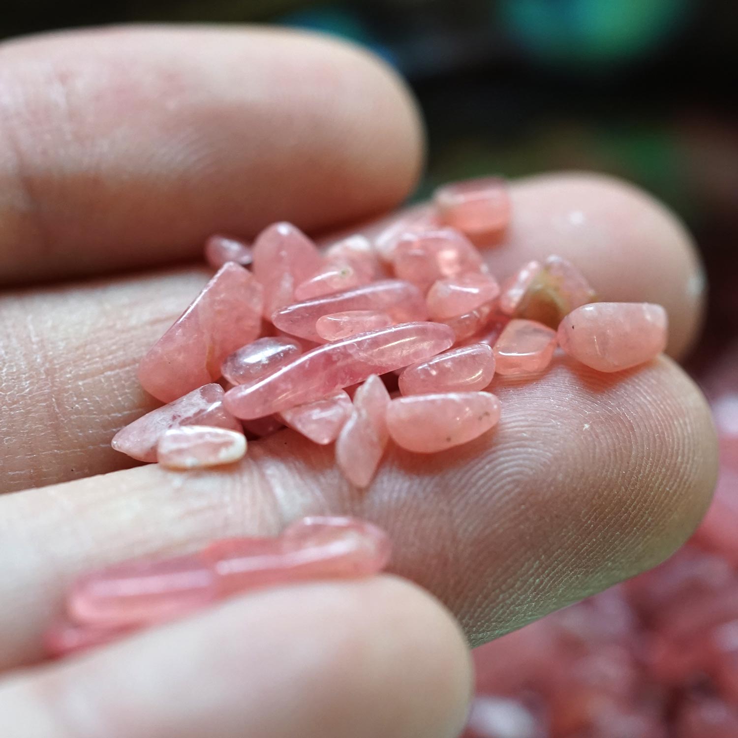 ���󥫥����� ��������å� (S�������� 100g �ھ��������ͥ륮�����㡼���ˡ�