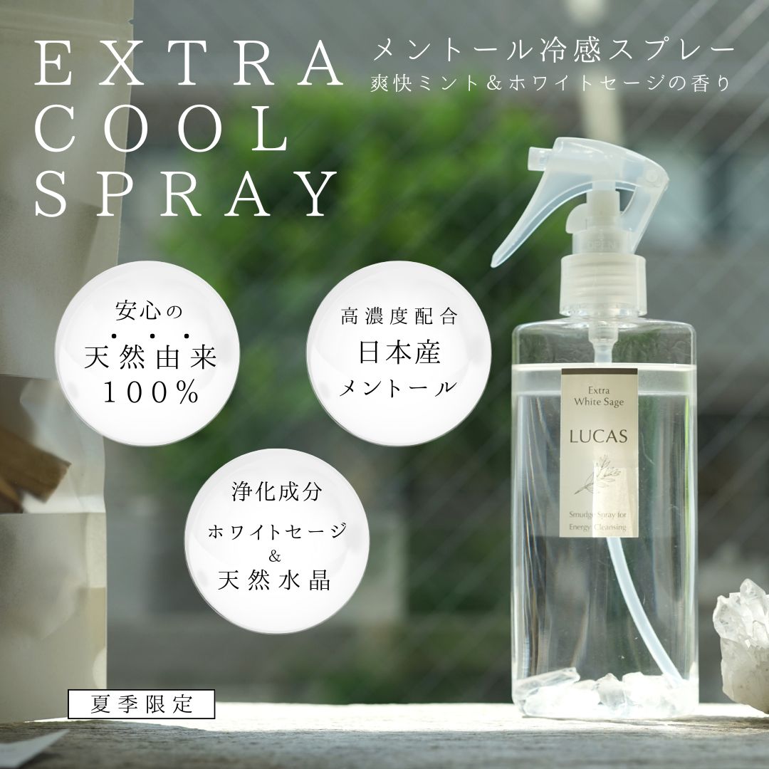 国内正規品版 SAUVAGE ベリークール スプレーEDT 100ml Amazon | 【クリスチャン ディオール】ソヴァージュ ベリー