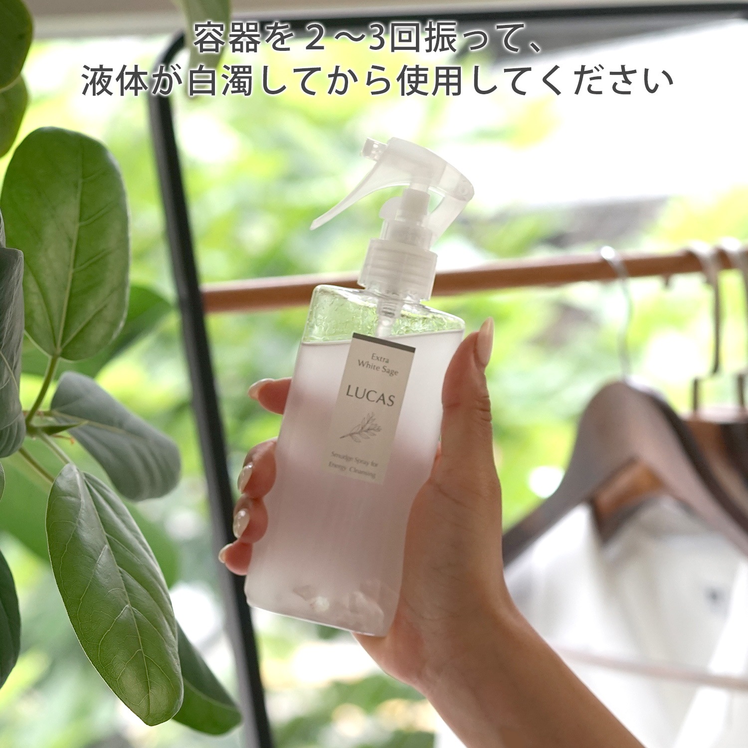 �������ȥ饯���� ���ץ졼�ڥ��ȡ����䴶���ץ졼���ֲ��ߥ�ȡ��ۥ磻�ȥ������ι��ۡ�ŷ��ͳ����ʬ100��˲Ƶ�����