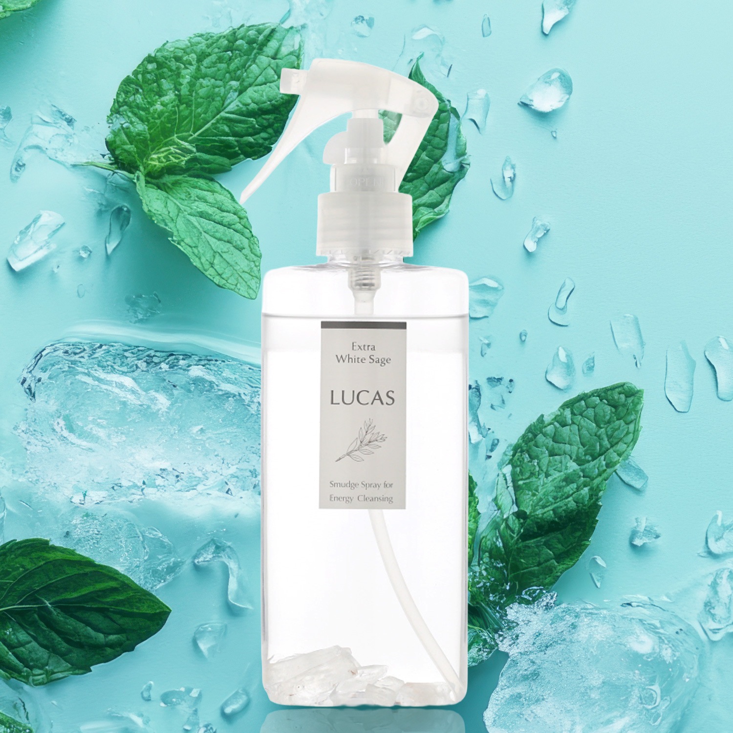 �������ȥ饯���� ���ץ졼�ڥ��ȡ����䴶���ץ졼���ֲ��ߥ�ȡ��ۥ磻�ȥ������ι��ۡ�ŷ��ͳ����ʬ100��˲Ƶ�����