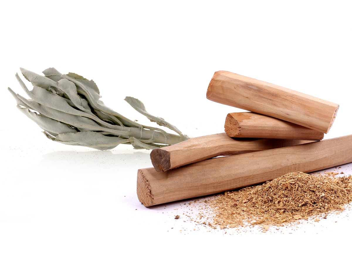 륦åɡɡˡۥ磻ȥ  ʥ󥿥 10ŷʬ100%Τ LUCAS 륫