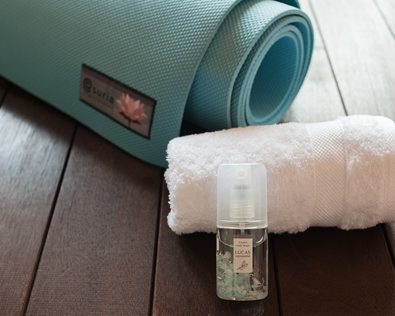 �������ץ졼 �ݥ��åȥ륫�� �ڥե����饤�ȡۡ�ŷ��ͳ����ʬ100���