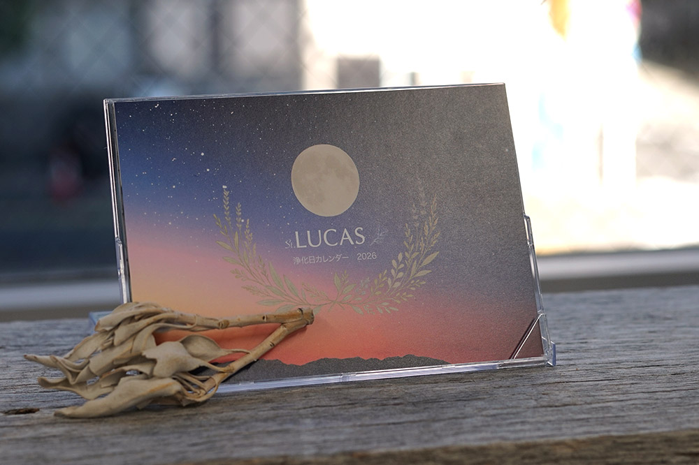 ��������������2026���ץ쥼��ȥ����ڡ��󳫺��桪�ڿ��̸����