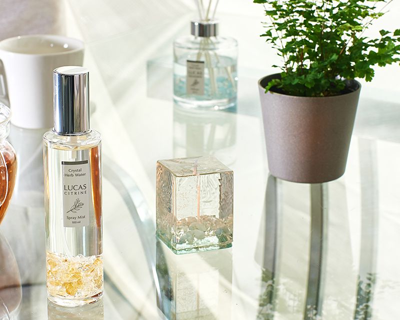 ���� ���� ���ߥ����ɥ롡�륫�� �ڥ��ȥ���