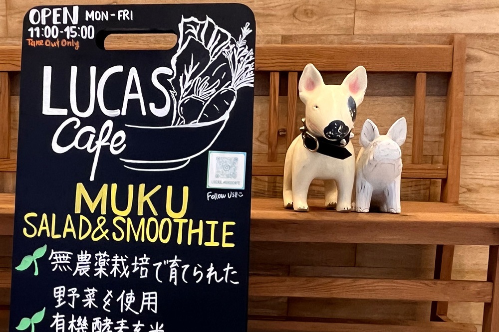 Τ¦ԥԥ˾̵ MUKUڤΥե ץ󡪡LUCAS Cafe ȿġ