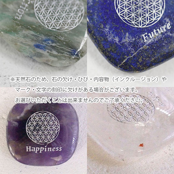 �ӥ���󥹥ȡ��� �ڥ�ԥ��饺���