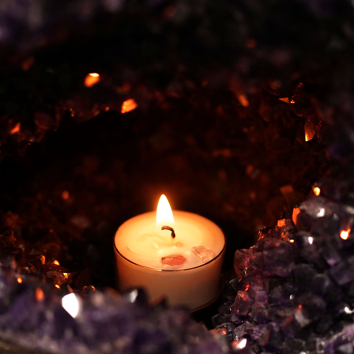 �ۥ磻�ȥ����� ������mini�����ɥ� 5�糧�å�  ��ŷ��ͳ����ʬ100% ���������������ɥ�� LUCAS �륫��