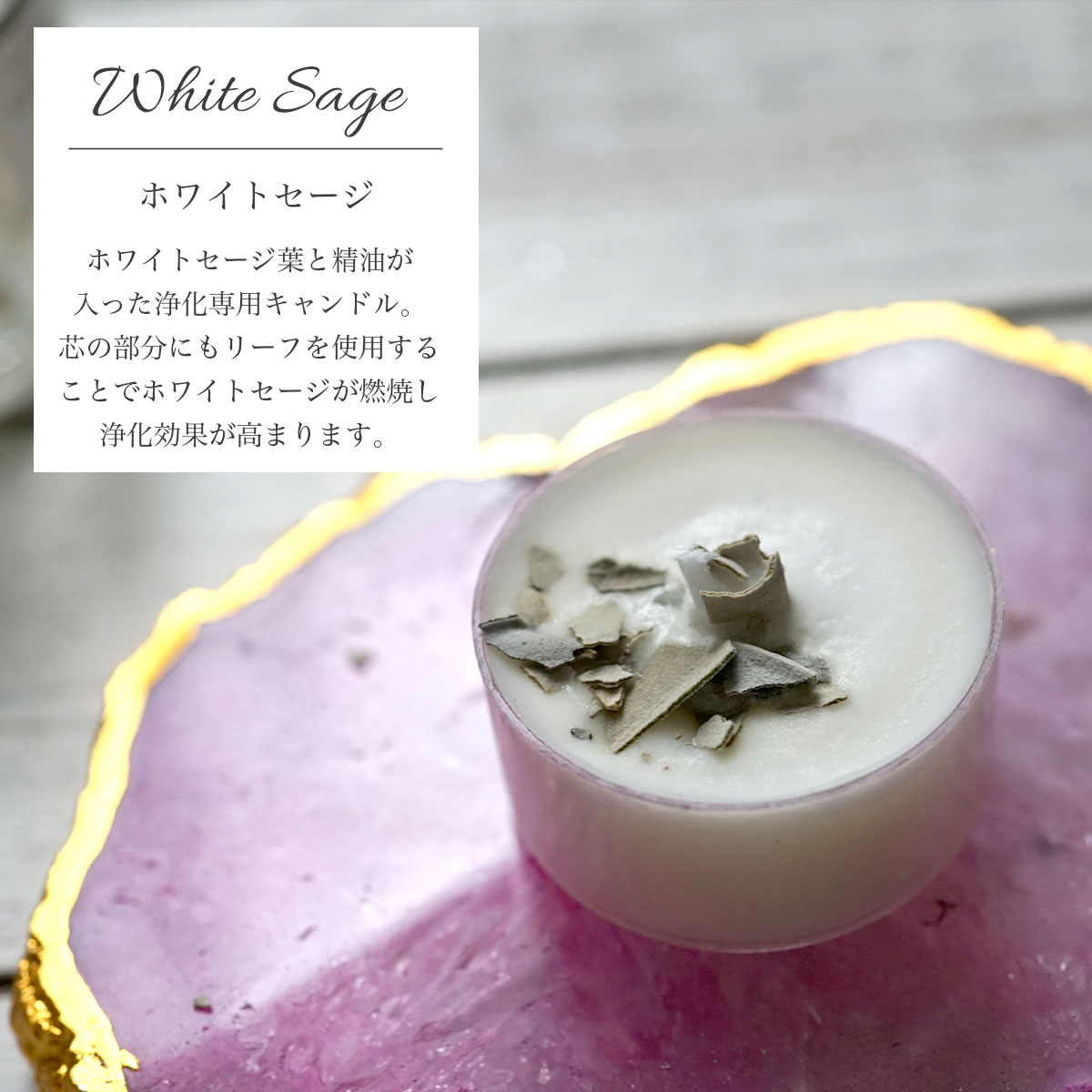 �ۥ磻�ȥ����� ������mini�����ɥ� 5�糧�å�  ��ŷ��ͳ����ʬ100% ���������������ɥ�� LUCAS �륫��