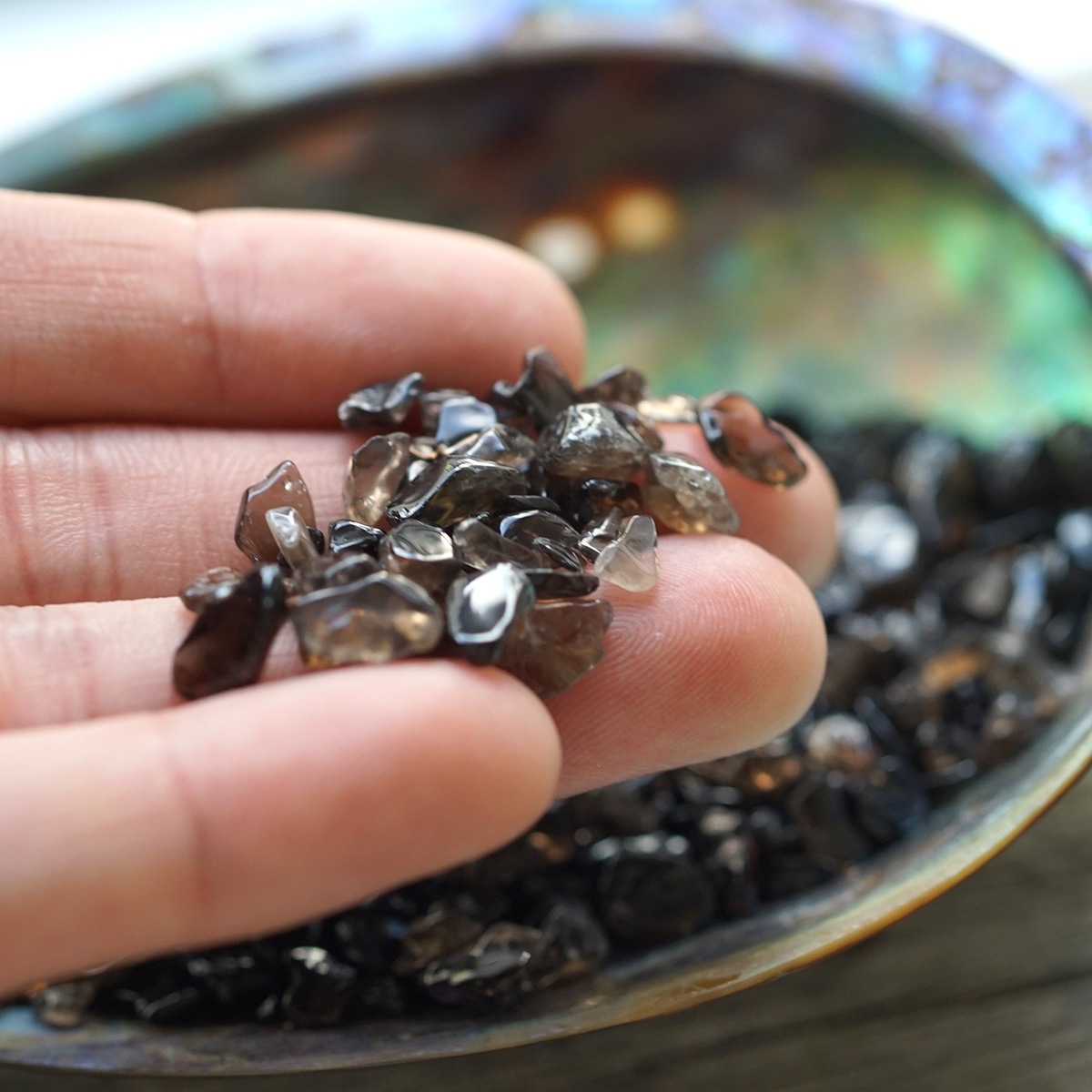 ⡼ å 100g ھͥ륮㡼ˡ