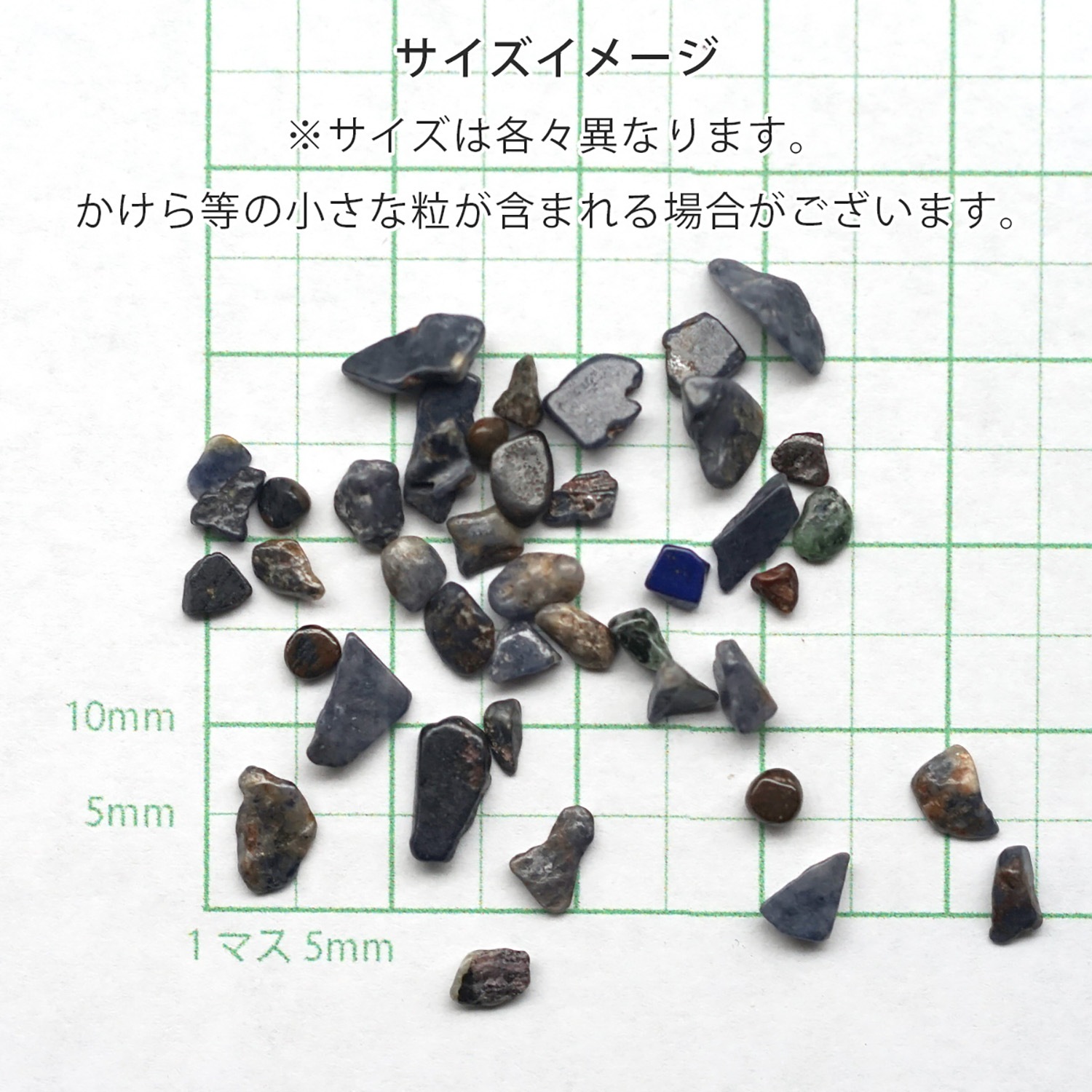 ���ե���������������å� 100g �ھ��������ͥ륮�����㡼���ˡ�