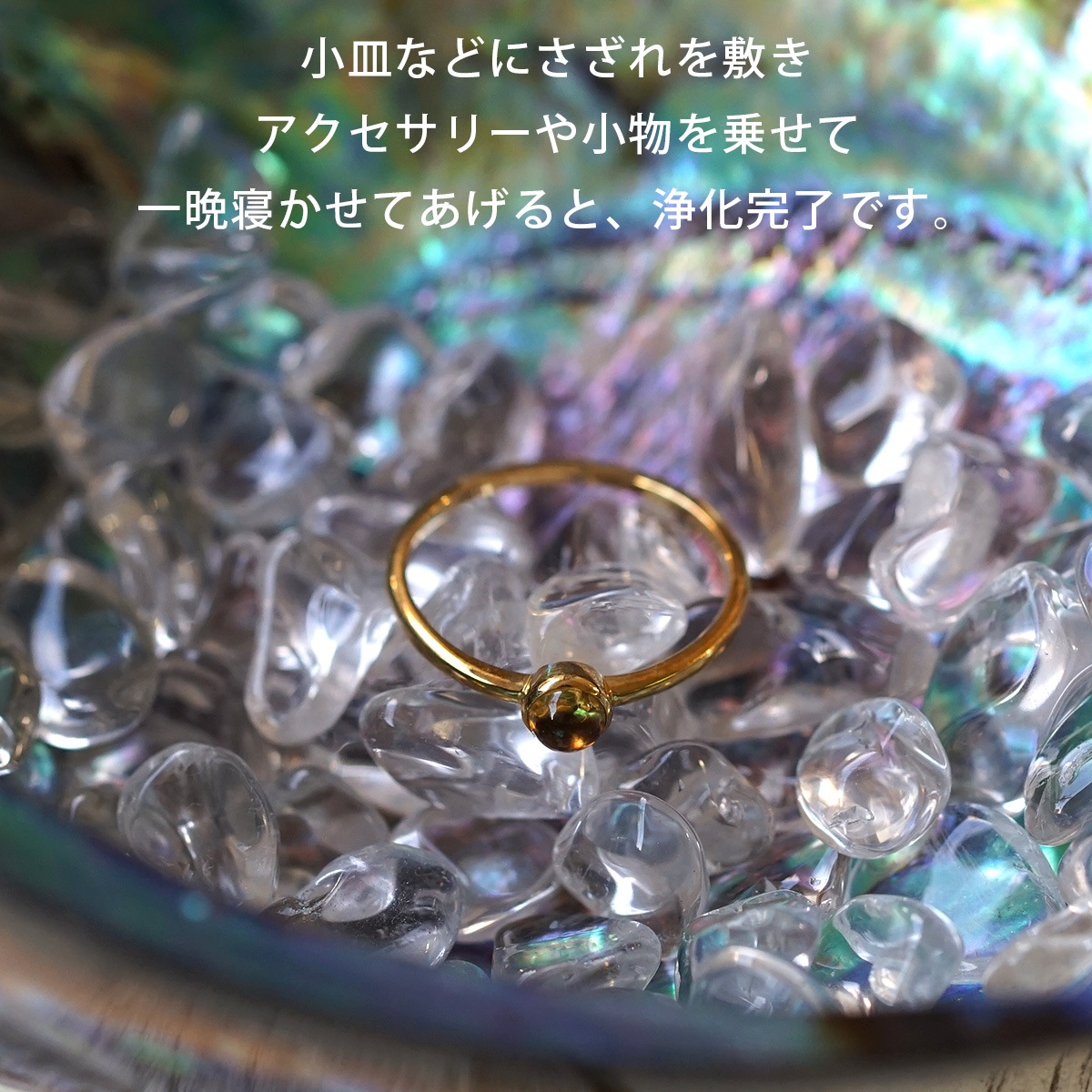 ���ե���������������å� 100g �ھ��������ͥ륮�����㡼���ˡ�