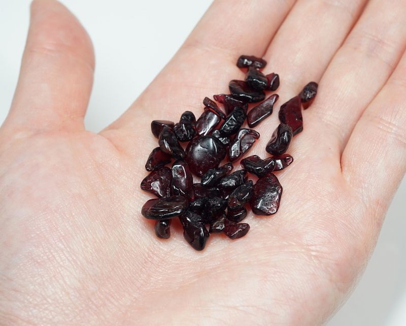 ͥå  åסType.2 100g ھͥ륮㡼ˡ