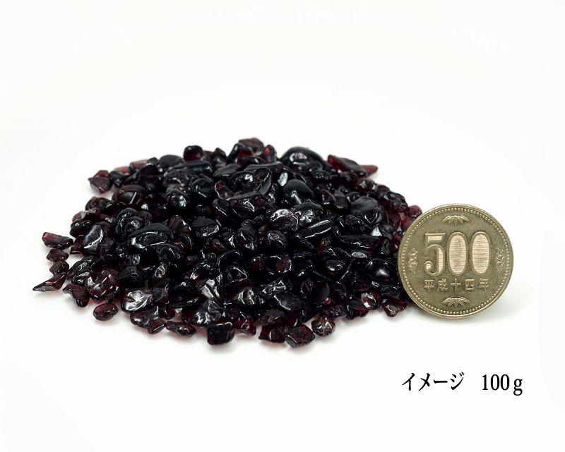 ͥå  åסType.2 100g ھͥ륮㡼ˡ