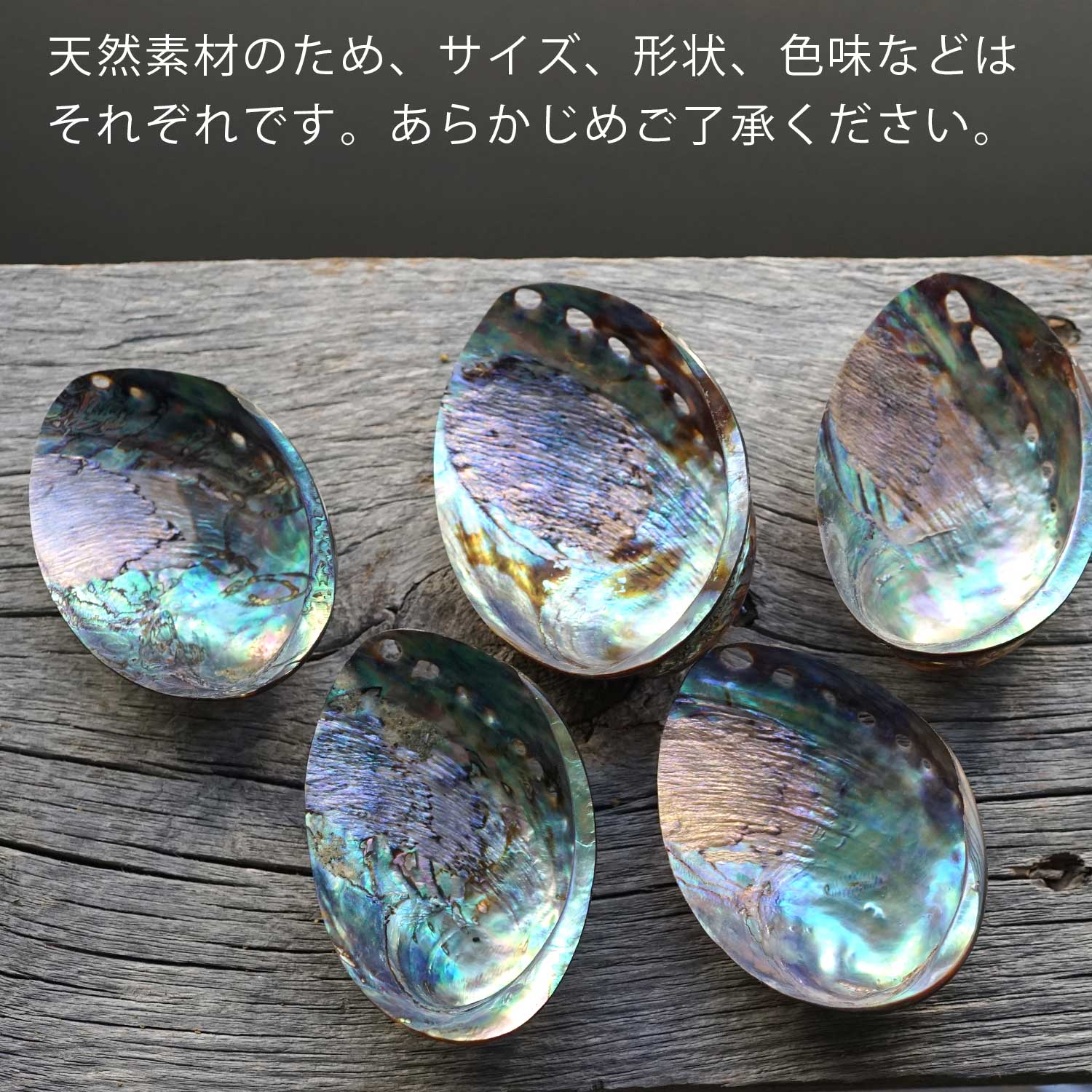 ���Х��󥷥����S�������ˡ��ۥ磻�ȥ�����������ξ����ѹ�ϧ