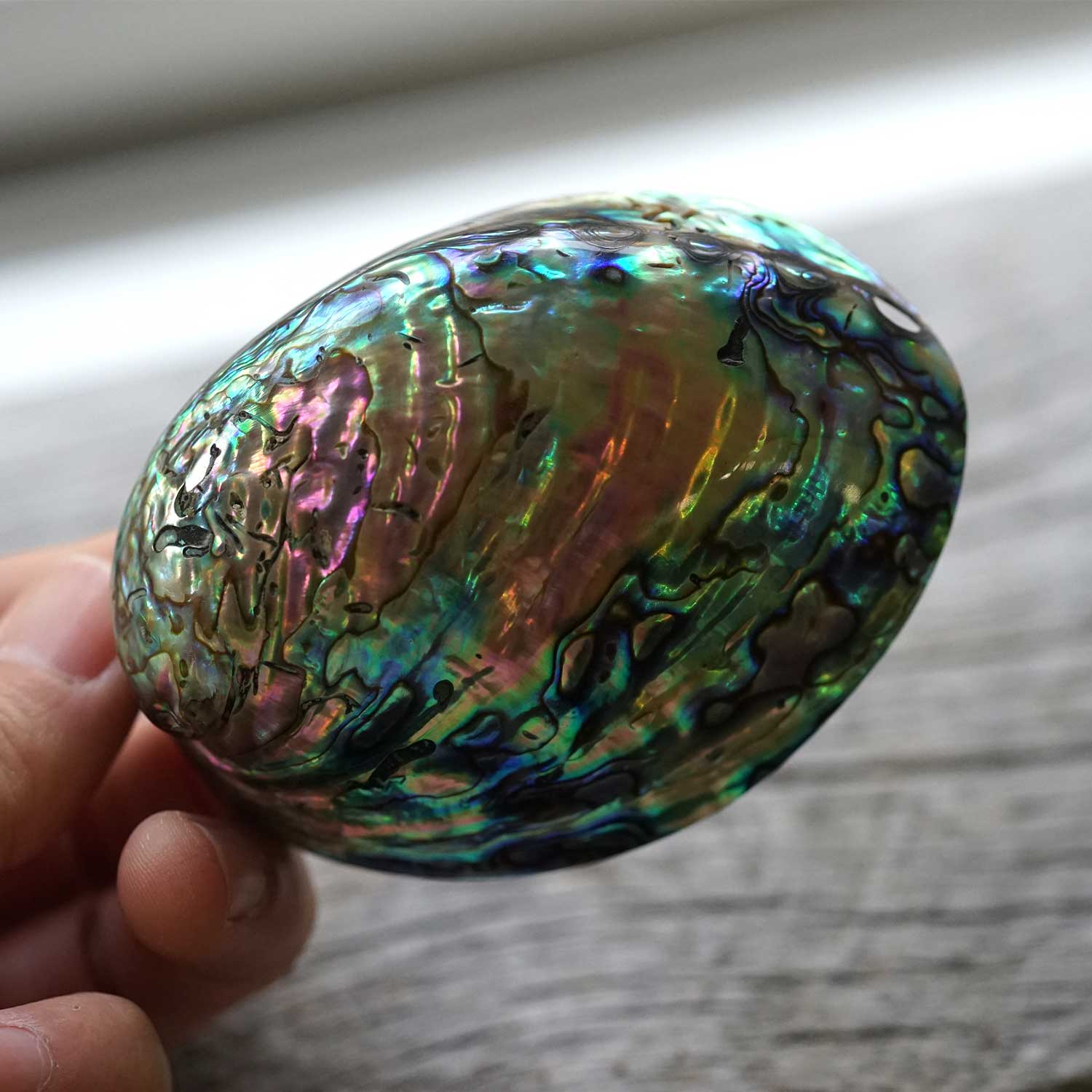 ���Х��󥷥����S�������ˡ��ۥ磻�ȥ�����������ξ����ѹ�ϧ