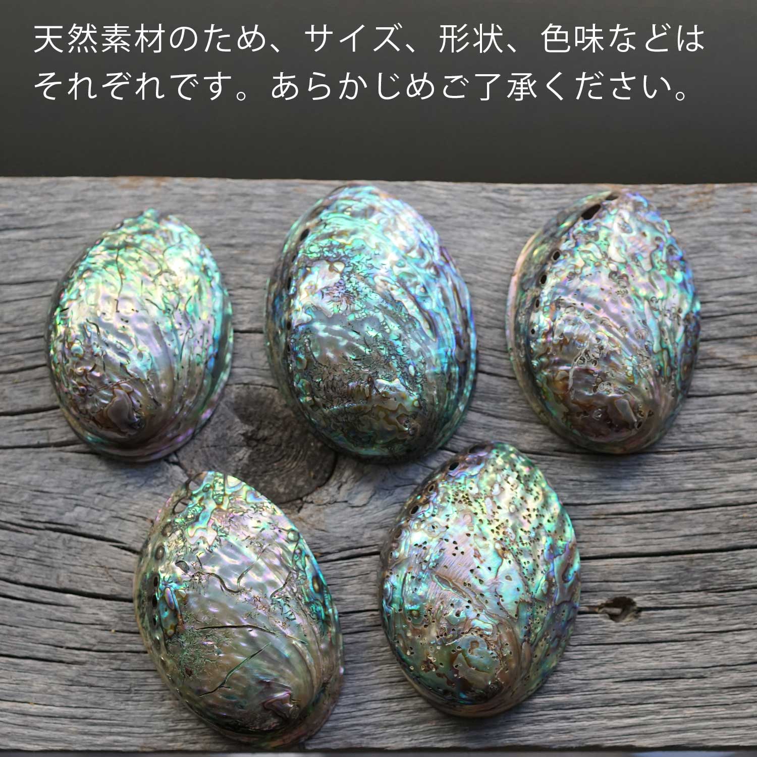 ���Х��󥷥����S�������ˡ��ۥ磻�ȥ�����������ξ����ѹ�ϧ