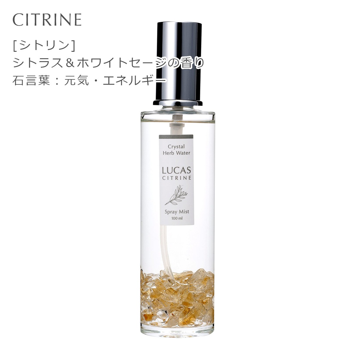 �������ץ졼 �륫�� 100ml��ŷ��ͳ����ʬ100%��