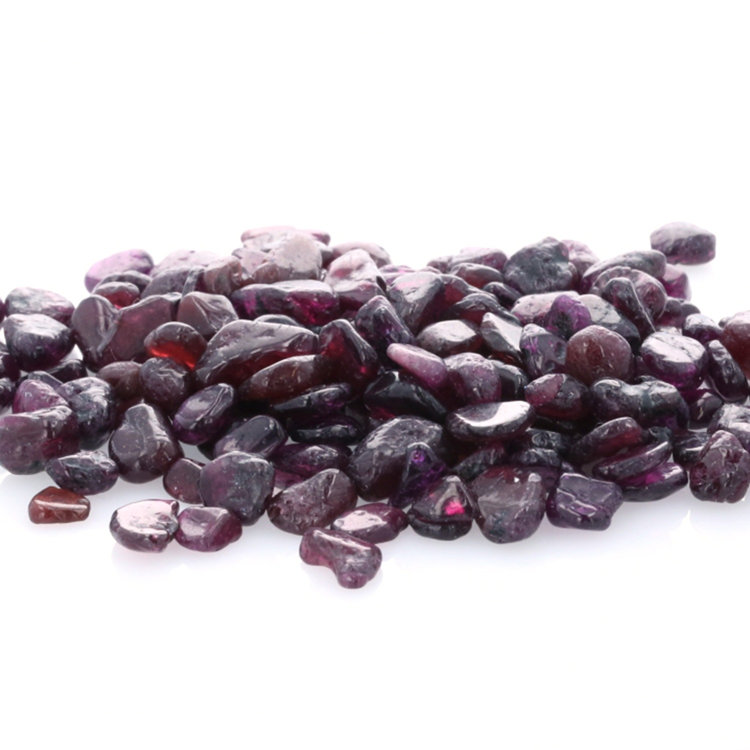 �����ͥå� ��������å� (L�������� 100g �ھ��������ͥ륮�����㡼���ˡ�