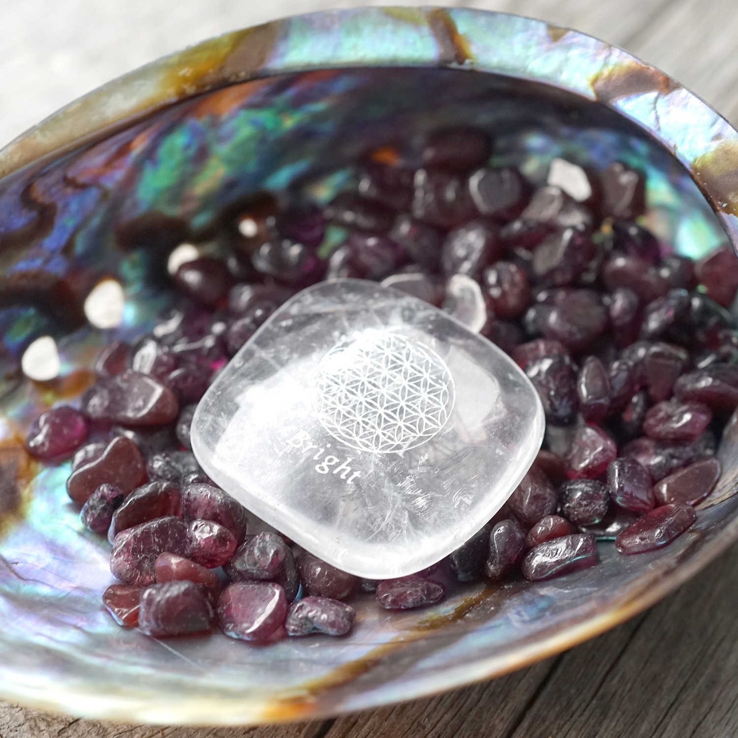 �����ͥå� ��������å� (L�������� 100g �ھ��������ͥ륮�����㡼���ˡ�