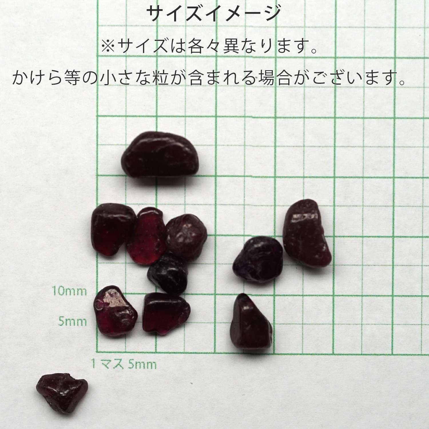 �����ͥå� ��������å� (L�������� 100g �ھ��������ͥ륮�����㡼���ˡ�