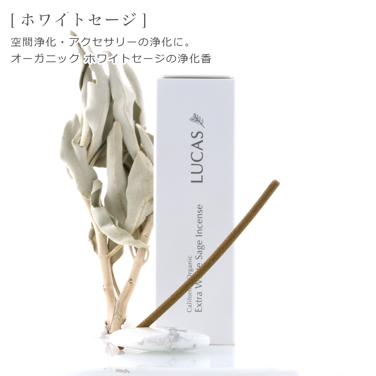 NEWۥۥ磻ȥ  ʥƥå 30ŷʬ100%Τ LUCAS 륫