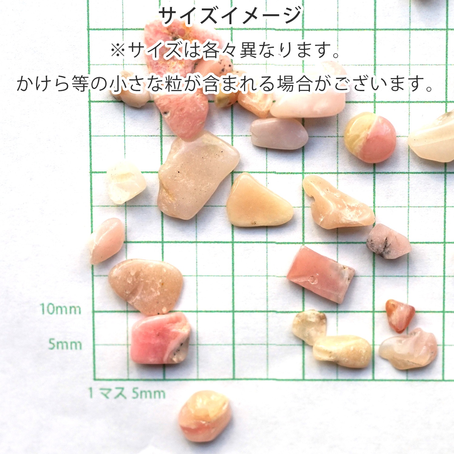 �ԥ󥯥��ѡ��롡��������å� 100g �ھ��������ͥ륮�����㡼���ˡ�