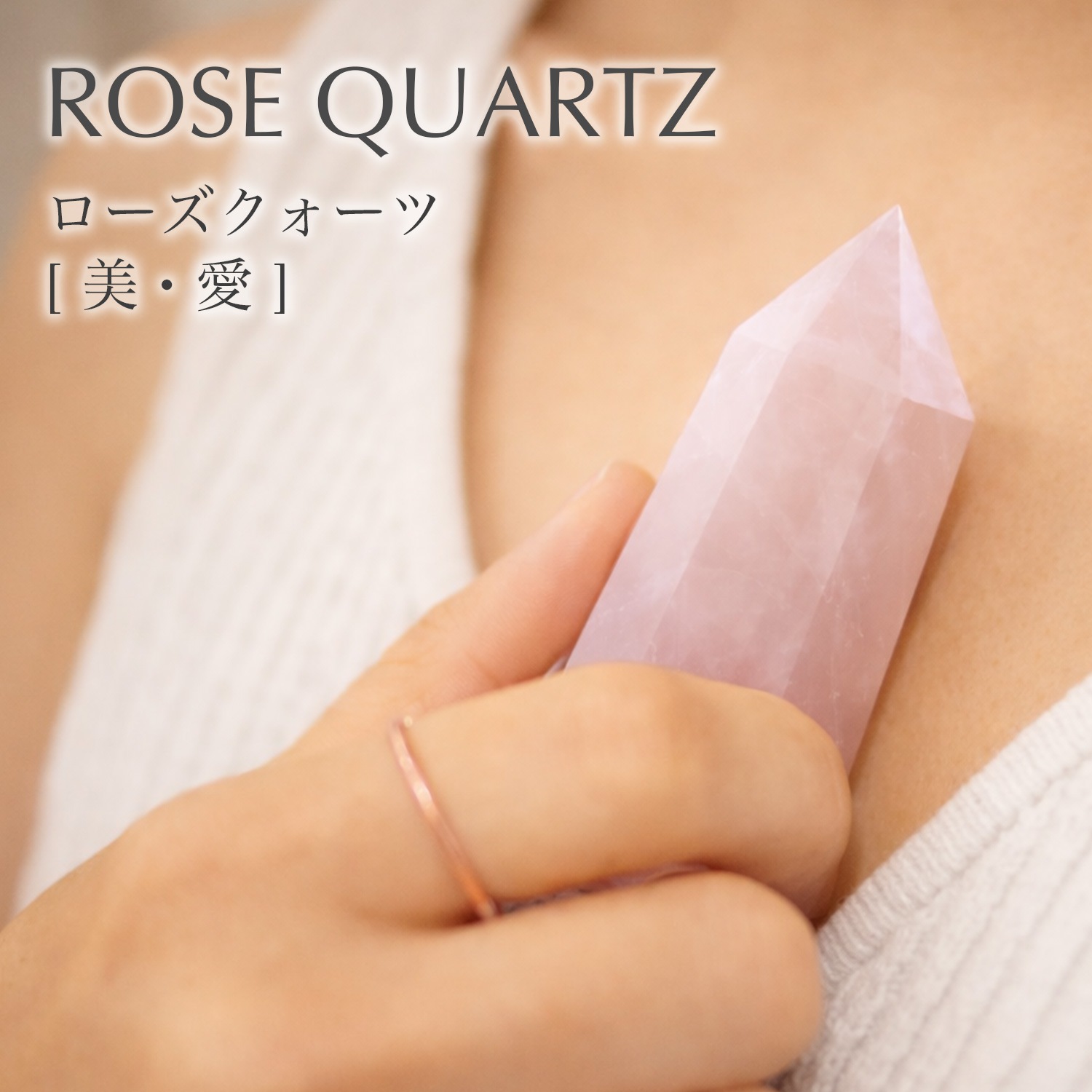 �ץꥺ�ॹ�ȡ��� ��ŷ����ϻ����ξ�������ƥꥢ��