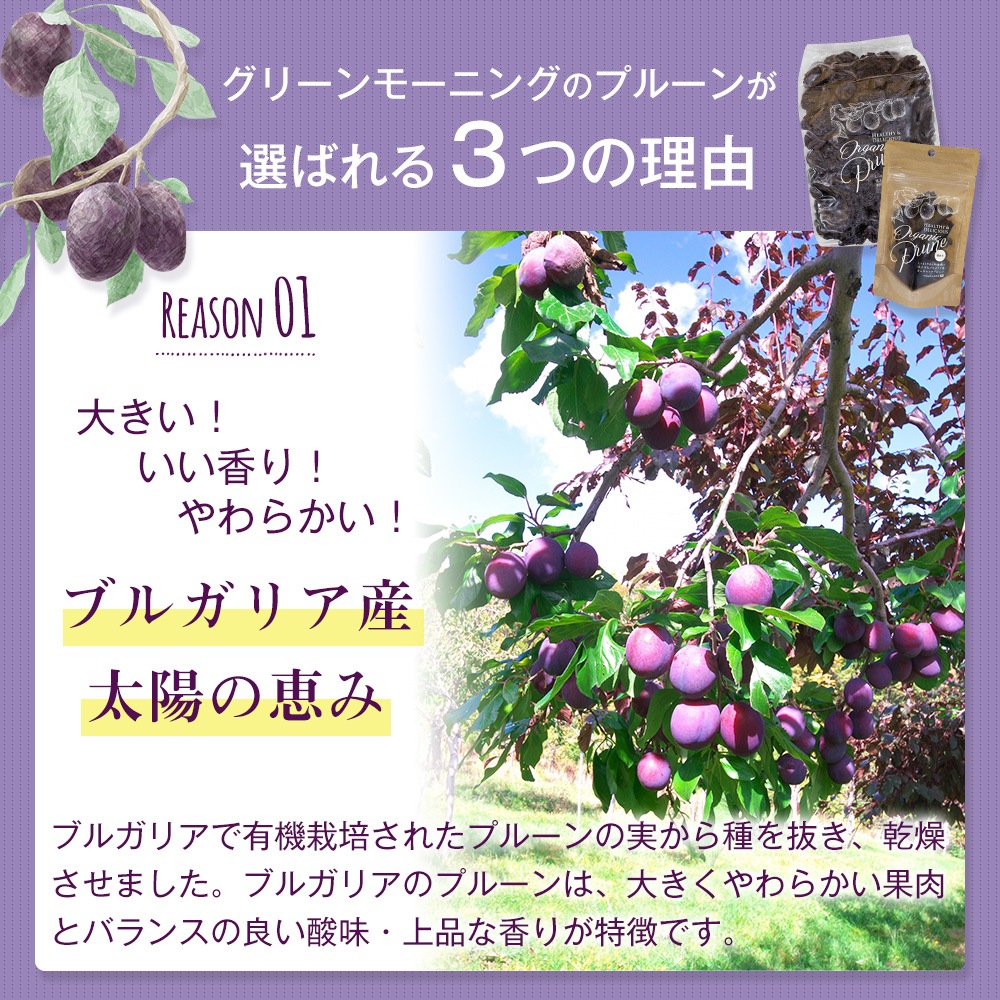 �������̡ۥ������˥å��ץ롼�� 1��g