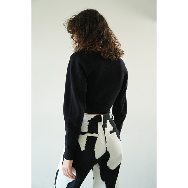 CLANE / ����� V NECK SHORT KNIT TOPS