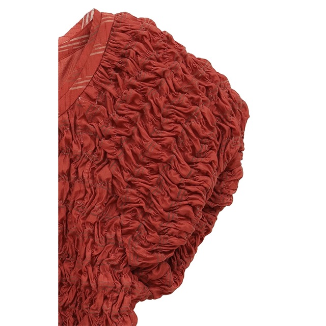 CLANE / ����� SHIRRING PUFF TOPS